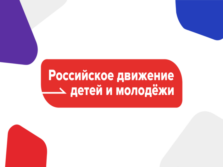 Дистанционный этап профильной смены РДДМ «Движение первых: Сибирский Артек».